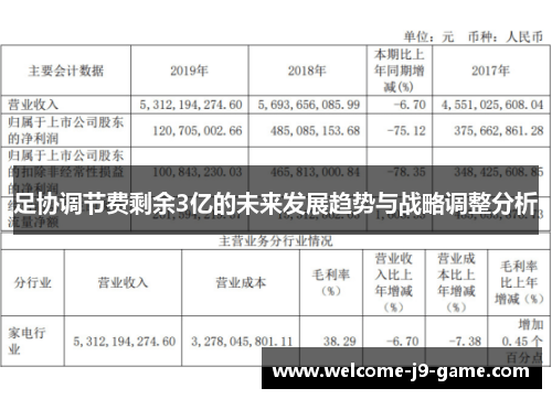 足协调节费剩余3亿的未来发展趋势与战略调整分析 足协调节费剩余3亿的未来发展趋势与战略调整分析