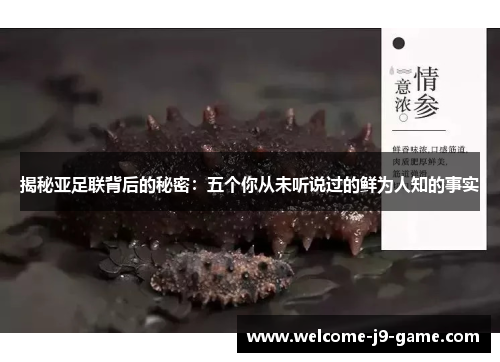 揭秘亚足联背后的秘密:五个你从未听说过的鲜为人知的事实 揭秘亚足联背后的秘密:五个你从未听说过的鲜为人知的事实