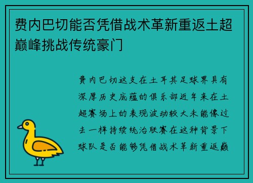 费内巴切能否凭借战术革新重返土超巅峰挑战传统豪门 费内巴切能否凭借战术革新重返土超巅峰挑战传统豪门